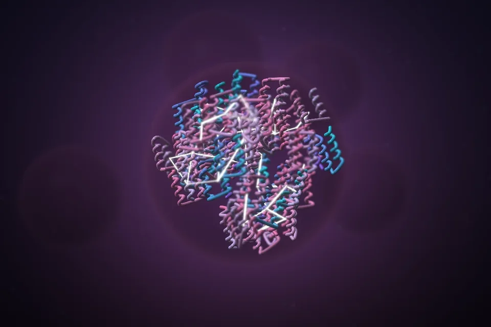 A biomolecular condensate droplet packed with crosslinked proteins