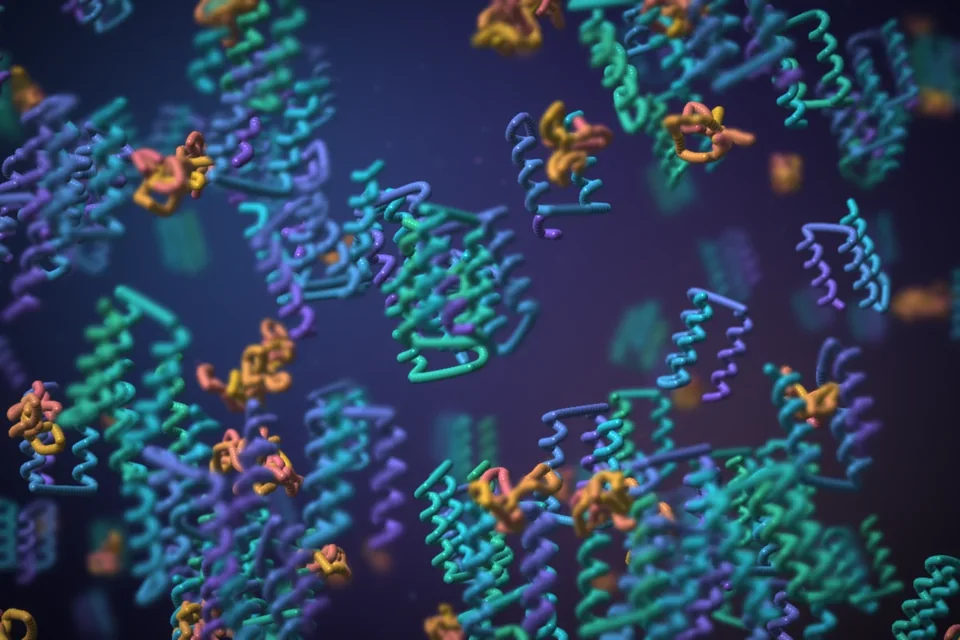 A crowded field of proteins, most folded, some misfolded